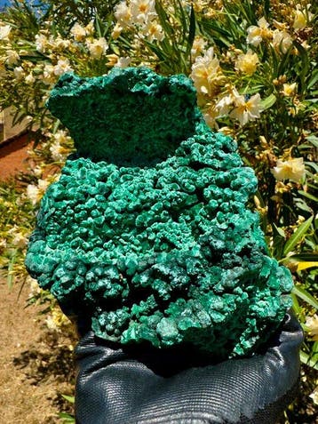 Malachite vert velours unique Cristal sur matrice - Hauteur
