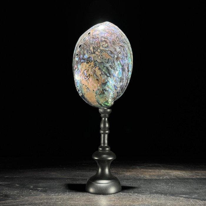 Decoratief ornament - NO RESERVE PRICE - Stunning Pair of, Antiek en Kunst, Kunst | Designobjecten