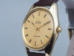 Omega - Seamaster - Cal.552 Ref.165.067 - Homme - 1960-1969