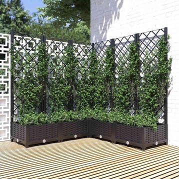 vidaXL Tuin Zwart 120 x 120 x 121,5 cm, Verzenden