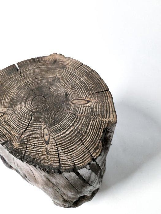 The Forest - Art & Woodworking Studio - Bijzettafel -, Antiquités & Art, Art | Objets design