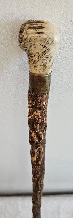 Canne de marche - Bois, os/ramure - Canne unique, Antiquités & Art
