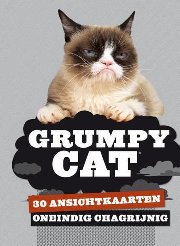 Grumpy cat 9789045318295 Grumpy Cat, Verzenden, Gelezen, Grumpy Cat
