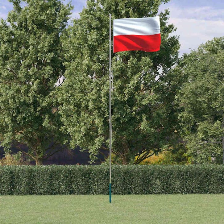 vidaXL Vlag met vlaggenmast Polen 6,08 m aluminium, Diversen, Vlaggen en Wimpels, Nieuw, Verzenden