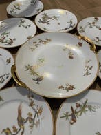 Richard Ginori - Gio Ponti - Dessertservies (13) - Porselein