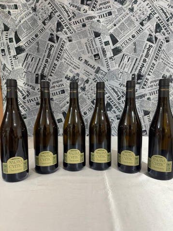 2022 Masciarelli “Marina Cvetic” Chardonnay - Abruzzo - 6