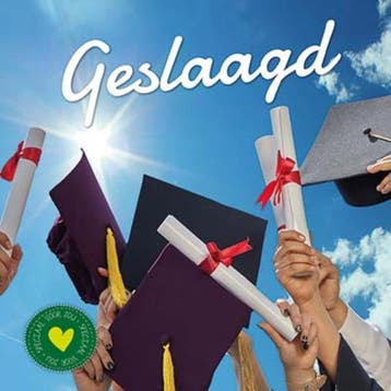 Geslaagd 9789461888006 Gerd De Ley, Boeken, Verzenden, Zo goed als nieuw, Gerd De Ley