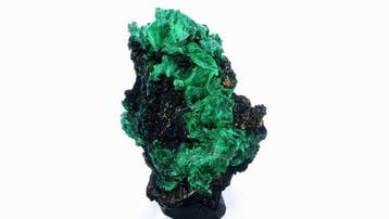 Malachite (sprays velours) - Katanga Copper Crescent , RDC -, Collections