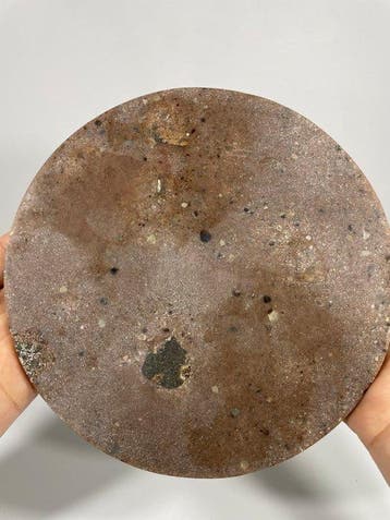 Mosaïque de fossile d’ammonite – dalle décorative de 20 cm