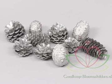 Dennenappel Ray Cones Zilver 500 gram
