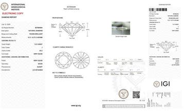 1 pcs Diamant (Natuurlijk) - 1.01 ct - Rond - J - VS2 -