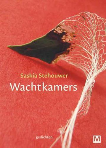 Wachtkamers 9789460682216 Saskia Stehouwer, Boeken, Verzenden, Gelezen, Saskia Stehouwer