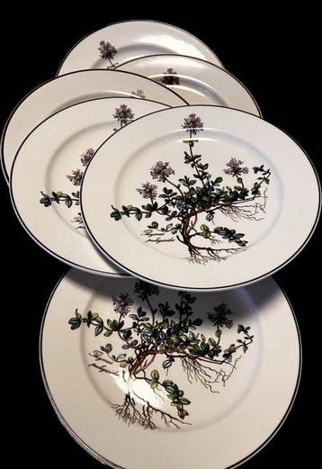 Villeroy & Boch - Bord (6) - Botanica - Porselein