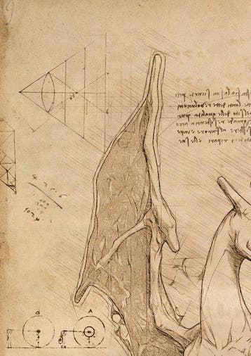 Boriani - Charizard - Da Vinci Series - limited edition 3/25