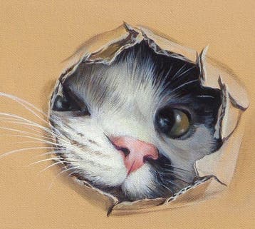 Gala - Cat painting ~Box~