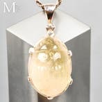 Zilveren hanger met uitgehouwen scarabee van Libyan Desert