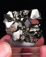 (CLASSIQUE PÉRUVIEN) PYRITE DORÉE Spécimen - Hauteur : 3 cm