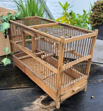 Cage à oiseaux - Bois, Métal - Cage à oiseaux