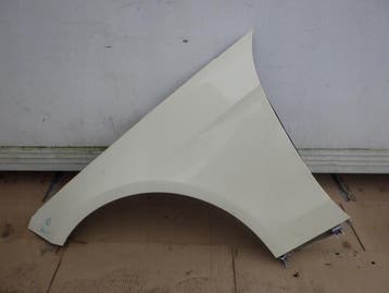 Mercedes W212 lift voorste linker spatbord, Verzenden