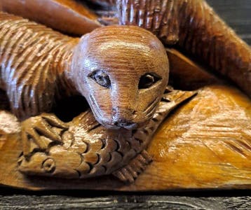 sculptuur, Otters eten vis - 27 cm - Hout