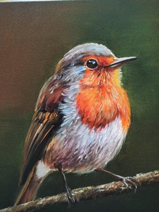 Tomasz Bednarski (1965) - Robin, Antiquités & Art, Art | Peinture | Classique