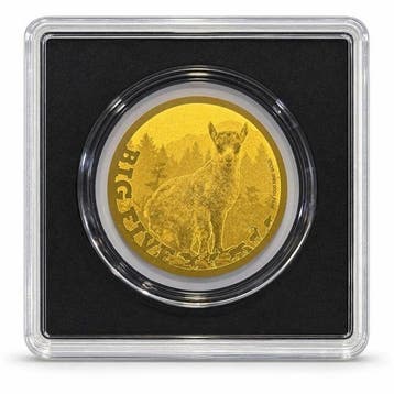 Tsjaad. 5000 Francs 1/200 oz 999 Fine Gold 5000 CFA Francs