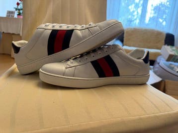 Gucci - Ace - High-top sneakers - Maat: EU 43, Nieuw
