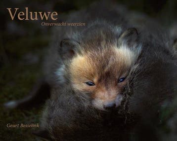 Veluwe, onverwacht weerzien 9789090350660 Geurt Besselink, Verzenden, Zo goed als nieuw, Geurt Besselink
