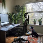 Herman Miller Aeron Bureaustoel Met Nieuwe Atlas Hoofdsteun!, Maison & Meubles, Chaises de bureau, Verzenden