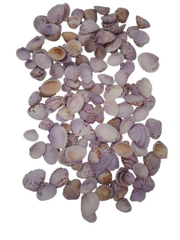 Tiger Chippy Schelpen Lila 500 gram, Nieuw