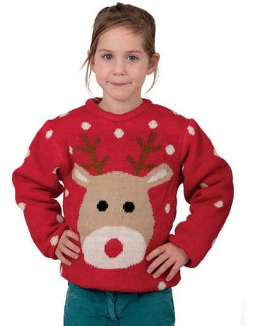 Kerst trui rendier  voor kids, Ophalen of Verzenden, Nieuw