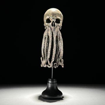 Octopus-schedel sculptuur Schedel - - - 32 cm - 12 cm - 12