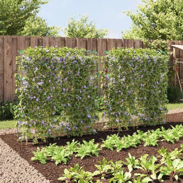 vidaXL Plantenklimrekken 2 st U-frame staal, Verzenden, Nieuw