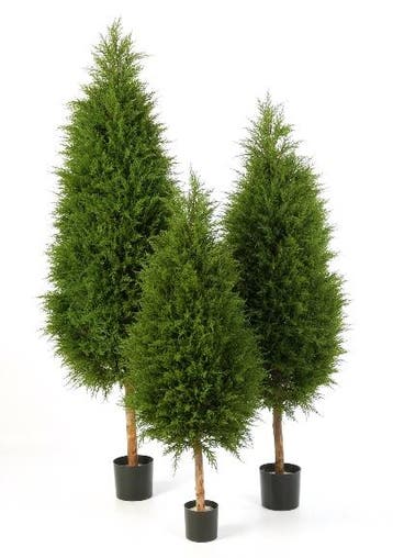 Kunstplant Cypres Plastic 180 cm, Verzenden