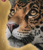 Kleury.art - Gaze of the Gilded Jungle” by Kleury.art (1/5)