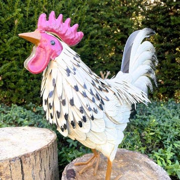 Sculpture, Prachtige haan - 37.5 cm - Fer