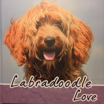 Labradoodle Love 9789058216380 Arienne Heuker of Hoek, Verzenden, Arienne Heuker of Hoek