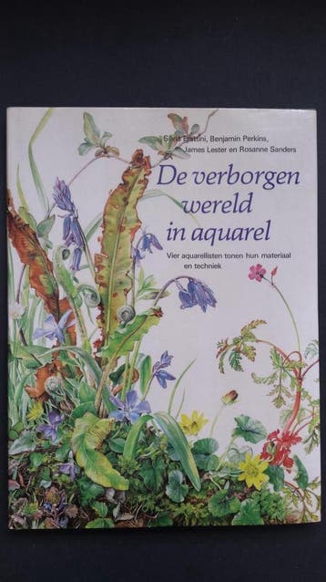 Verborgen wereld in aquarel 9789060178591 Sylvia Frattini, Verzenden, Gelezen, Sylvia Frattini
