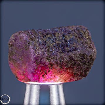 Natuurlijke zeldzame Padparadscha-saffier – Ruw kristal met
