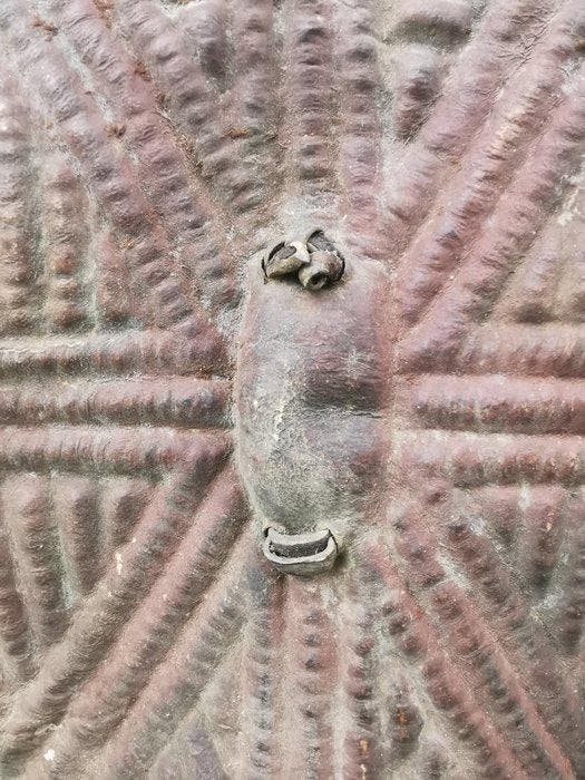 Schild - Kameroen - 1950-1960, Antiek en Kunst, Kunst | Niet-Westerse kunst