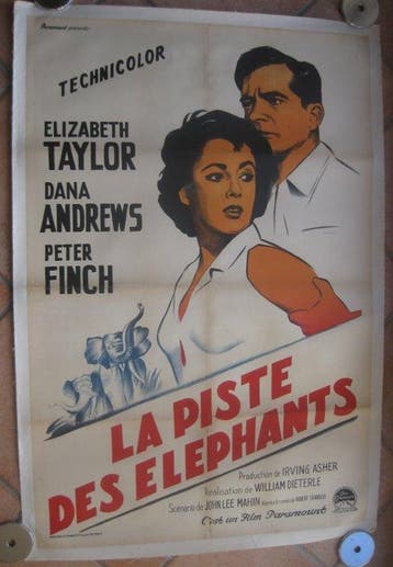 Anonymous - la piste des éléphants avec Liz Taylor ciné
