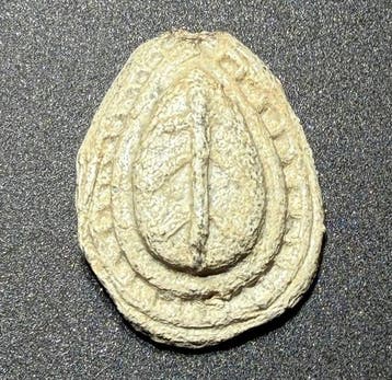 Oud-Romeins Lood Plaque - 2.7 cm (Zonder minimumprijs)