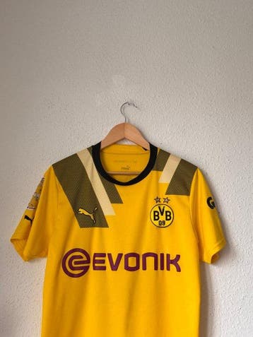 Borrusia Dortmund - Duitse voetbal competitie - Jude