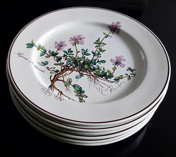 Villeroy & Boch - Plat (6) - Botanica - Porcelaine, Antiquités & Art
