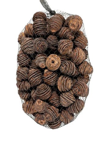 Platyspernum zak 1 kilo voordeelverpakking