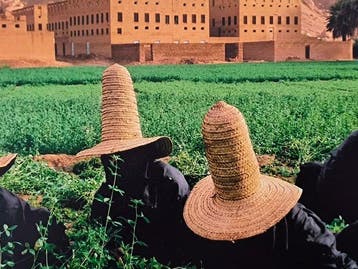 Steve McCurry (1950–) - Clover gatherers in Hadhramaut.