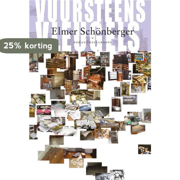 Vuursteens vleugels 9789029085403 Elmer Schonberger, Boeken, Romans, Zo goed als nieuw, Verzenden