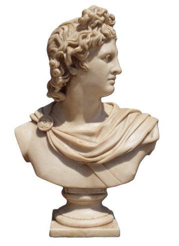 sculptuur, Busto Apollo del Belvedere - 46 cm -