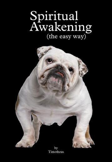 Spiritual Awakening 9789078947707, Verzenden