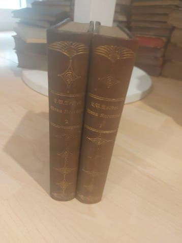 L. N. Tolstoi; H. Röhl (translator) - Anna Karenina - 1922